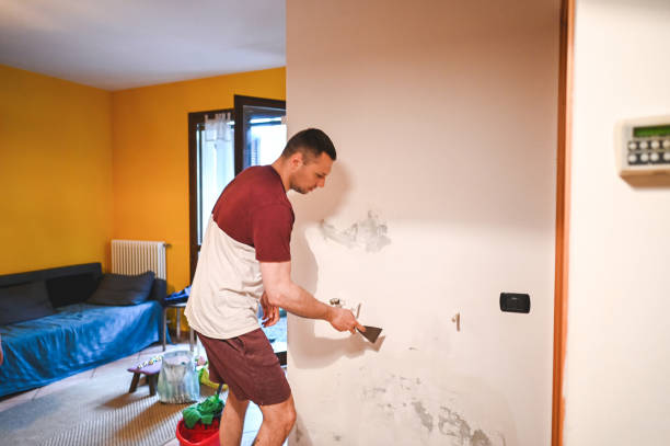 Mold Removal Process in South Brooksville, FL